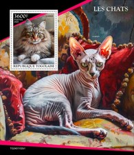 Cats siberian sphynx d'occasion  Expédié en Belgium