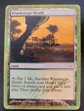 Cartão inglês Windswept Heath PL World Championship MTG Magic the Gathering Land comprar usado  Enviando para Brazil