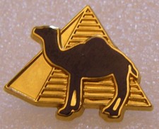 Pin camel pyramide d'occasion  Saint-Nazaire