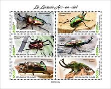 2024 guinea rainbow d'occasion  Brunoy