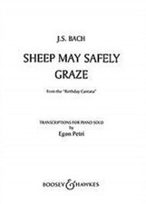 Sheep may safely for sale  Idaho Falls