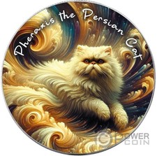Pheraxis gatto persiano usato  Ciampino