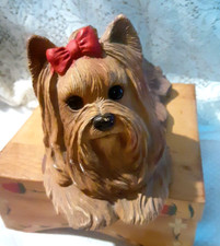 Yorkshire terrier sandicast for sale  Bernardston
