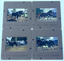 horse plough for sale horse plough for sale BOLTON