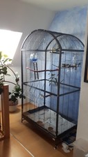 Vogelkäfig innenvoliére darw gebraucht kaufen  Karlsruhe