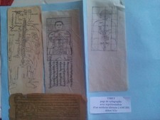Tibet planches anatomiques d'occasion  Bagnères-de-Bigorre