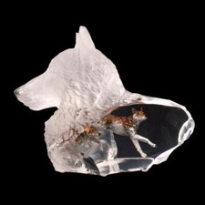 Kitty cantrell wild for sale  North Las Vegas