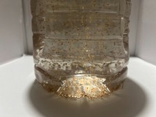 2500 daphnia magna d'occasion  Expédié en Belgium
