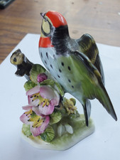 barbet for sale  GRANTHAM
