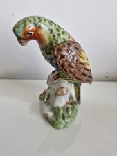 Perruche porcelaine allemande d'occasion  Bauvin