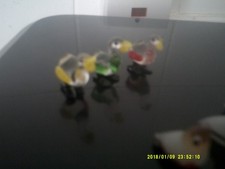 Glass birds for sale  CARDIFF