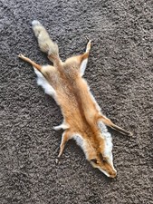 rotfuchs fell gebraucht kaufen rotfuchs fell gebraucht kaufen Straubing