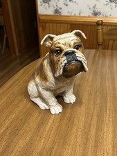 Realistic english bulldog for sale  Shipman