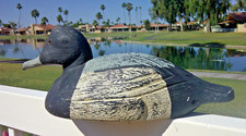 Antique black duck for sale  Chandler