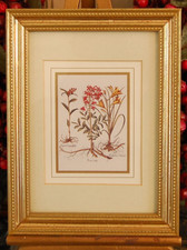 Vintage 1980 framed for sale  Miami