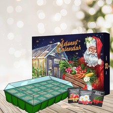 Seed advent calendar for sale  LONDON