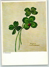 39184641 sign virginie gebraucht kaufen  Deutschland