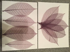 Skeleton leaves purple for sale  PORT TALBOT