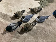 Dakota decoy mallards for sale  Sioux Falls