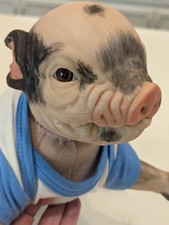 Pano de plástico realista com pétala de leitão bebê renascido olhos marrons comprar usado  Enviando para Brazil