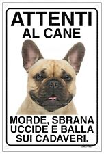 Bulldog francese fulvo usato  Vertemate con Minoprio