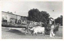 Côte ivoire hommes d'occasion  France