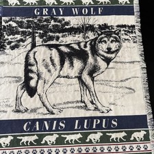 Gray wolf canis for sale  Peoria