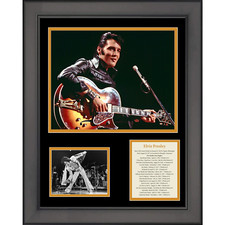 Framed elvis presley for sale  Mullica Hill