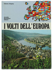 Volti dell sergery usato  Villarbasse