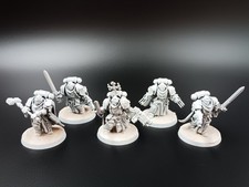 Sword brethern schwertbrüder gebraucht kaufen  Geldern