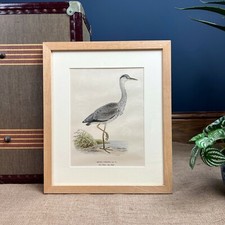 Vintage grey heron d'occasion  Expédié en Belgium