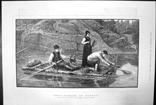 Antique print trout for sale  UK
