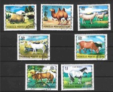 Mongolia 1971 allevamento usato  Pistoia