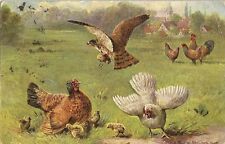 Fancy postcard chickens d'occasion  Expédié en Belgium