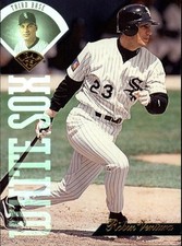 1995 Leaf escolha de cartão de beisebol 1-256 comprar usado 1995 Leaf escolha de cartão de beisebol 1-256 comprar usado  Enviando para Brazil