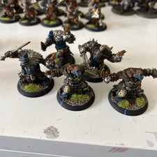 Warmachine hordes trollbloods for sale  FERNDALE