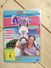 Dvd pferd amika gebraucht kaufen  Rehden