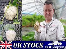 Rare luxurious japanese for sale  LONDON