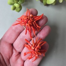 Brincos de miçangas vintage genuínos de galhos de coral com clipe comprar usado Brincos de miçangas vintage genuínos de galhos de coral com clipe comprar usado  Enviando para Brazil