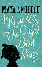 Know caged bird for sale  ROSSENDALE