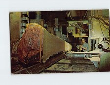 Postcard passamaquoddy lumber for sale  Stevens Point