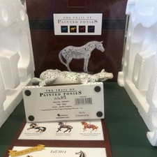 paint pony for sale paint pony for sale Benson