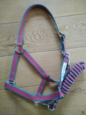 Horseware amigo halfter gebraucht kaufen  Bad Bergzabern-Umland