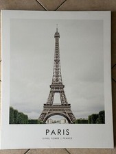 Stampa tela parigi usato  Roma