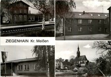 Ziegenhain 266412 gebraucht kaufen  Eimeldingen