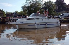 Drago 600 fiesta for sale  BRIDGWATER