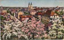 Cpa landau germany d'occasion  Expédié en France