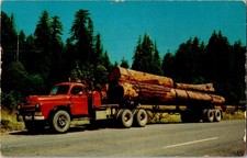 Loaded red logging for sale  Newton