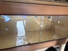 3ft reptile vivarium for sale  NEWTOWNARDS