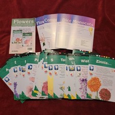 abeka flashcards for sale  Lake Dallas